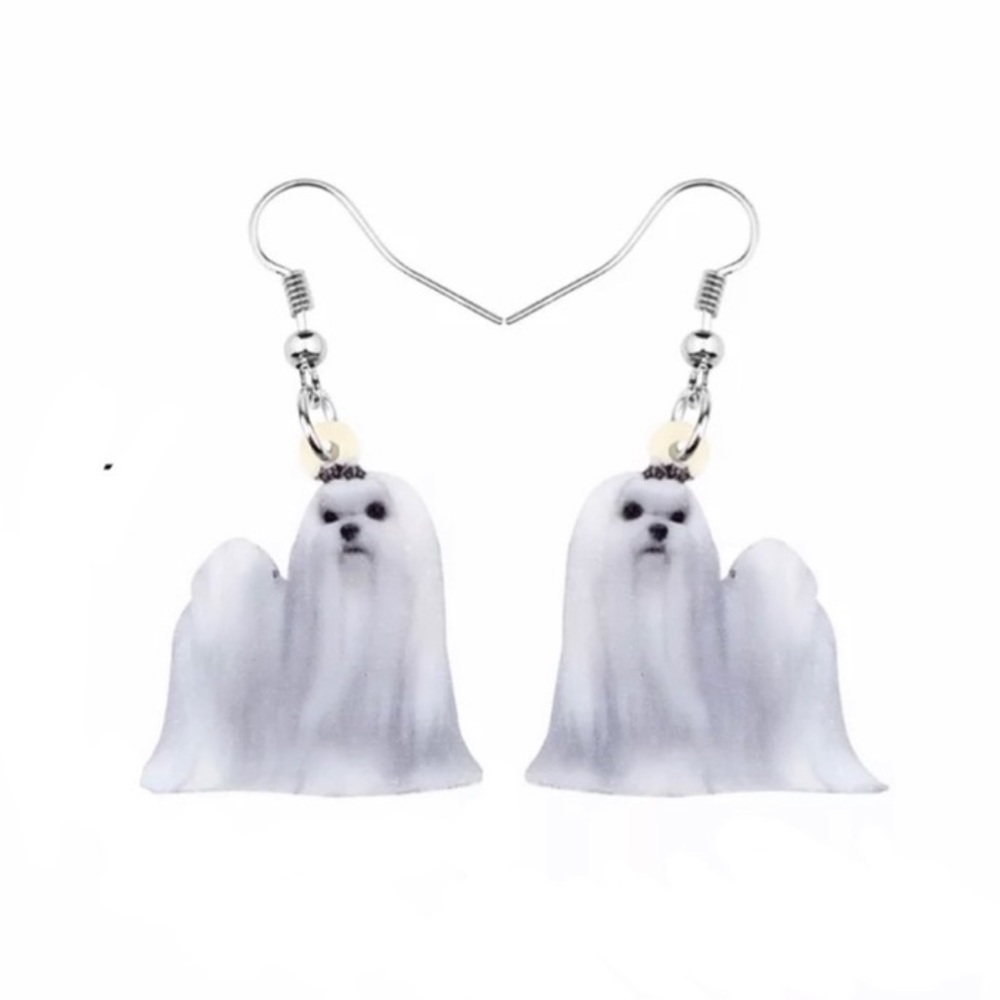 FREE SHIPPING | Double-Sided Acrylic Dangle Earrings NWT